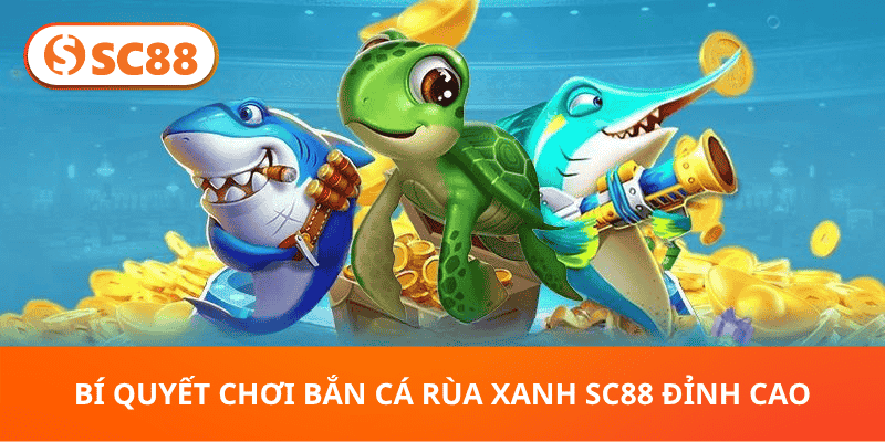 Bí Quyết Chơi Bắn Cá Rùa Xanh sc88 Đỉnh Cao